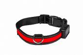 Collier Lumineux pour Chien EYENIMAL Light Collar USB Rechargeable - Collier rouge taille S