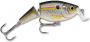 JOINTED SHALLOW SHAD RAP® Couleur : SD